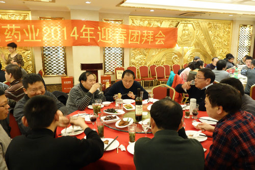 中國(guó)最早專業(yè)生產(chǎn)膠囊制劑企業(yè)|鹽酸二甲雙胍片